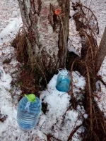 IMG-20180408-WA0001.webp