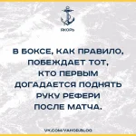 NgBZOxAjTZY.webp