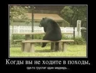 11428000.webp