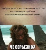 FB_IMG_1525900830668.webp