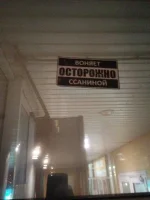 ссанина.webp