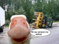 countryballs-Комиксы-война-длиннопост-2995721.webp