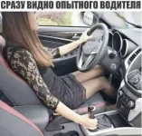 FB_IMG_1528295054477.webp