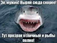 FB_IMG_1528496866820.webp