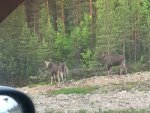IMG-20180617-WA0010.jpg