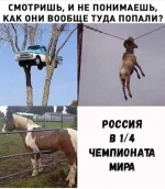 FB_IMG_1530655571609.webp