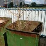 11749121.webp
