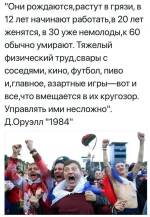 FB_IMG_1531044065754.webp