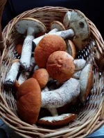 IMG-20180715-WA0042.webp