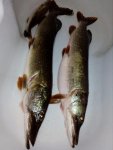 IMG-20180715-WA0041.jpg