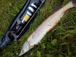 IMG-20180715-WA0039.jpg