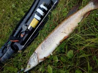 IMG-20180715-WA0039.webp