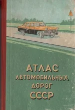 11774393.webp