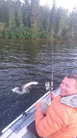 FB_IMG_1532005874860.webp