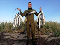 IMG-20180721-WA0000.webp
