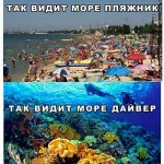 FB_IMG_1533008691359.webp