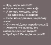 FB_IMG_1533202353678.webp