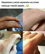 11925827.webp