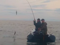 IMG-20180830-WA0010.webp