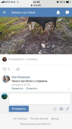 IMG-20180831-WA0038.webp