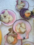 IMG-20180902-WA0083.jpg