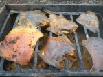 IMG-20180902-WA0076.jpg