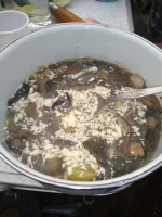 IMG-20180902-WA0063.webp