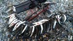 IMG-20180903-WA0015.jpg