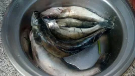 IMG-42aa33f4d4c9634aebcf59ccb561b697-V.webp
