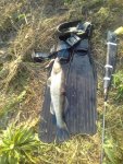 IMG-20180907-WA0003.jpg