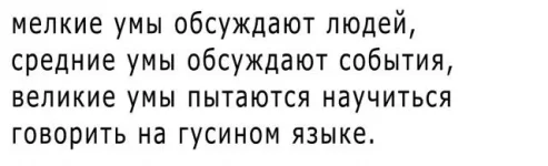 12003972.webp