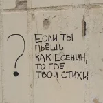 xMHsPSzNa5E.webp