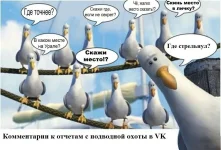 -jLQ-ZPH8qU.webp