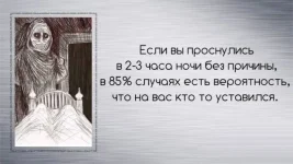 12041655.webp
