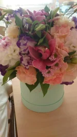 IMG-20180921-WA0056.webp