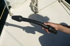 12091874.webp