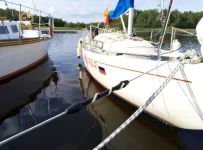 12091877.webp