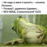 FB_IMG_1538330680046.webp