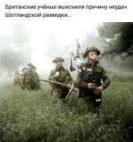 FB_IMG_1538904582687.webp