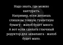 12123671.webp