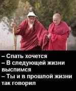 FB_IMG_1539021965119.webp