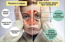 FB_IMG_1539068585968.webp