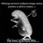oB4lIuOxb_k.webp