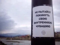 12171278.webp