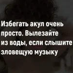 FB_IMG_1540464928225.webp