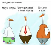 IMG-20181026-WA0000.webp
