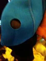 KIj2JZPlVrY.webp