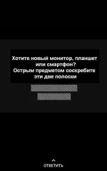 12215332.webp