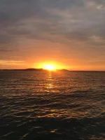 FB_IMG_1541210014839.webp
