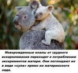 12250358.webp